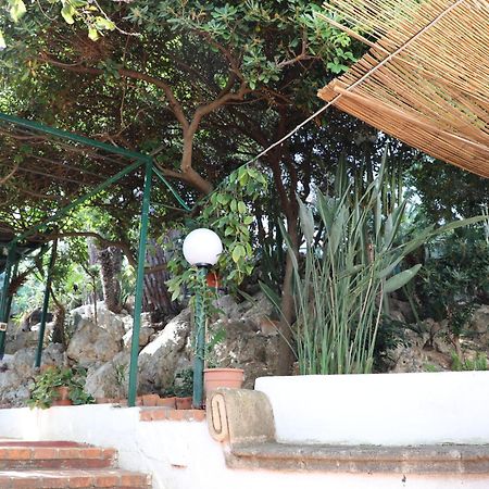 Villa Casa Elvira Terrasini Exterior foto