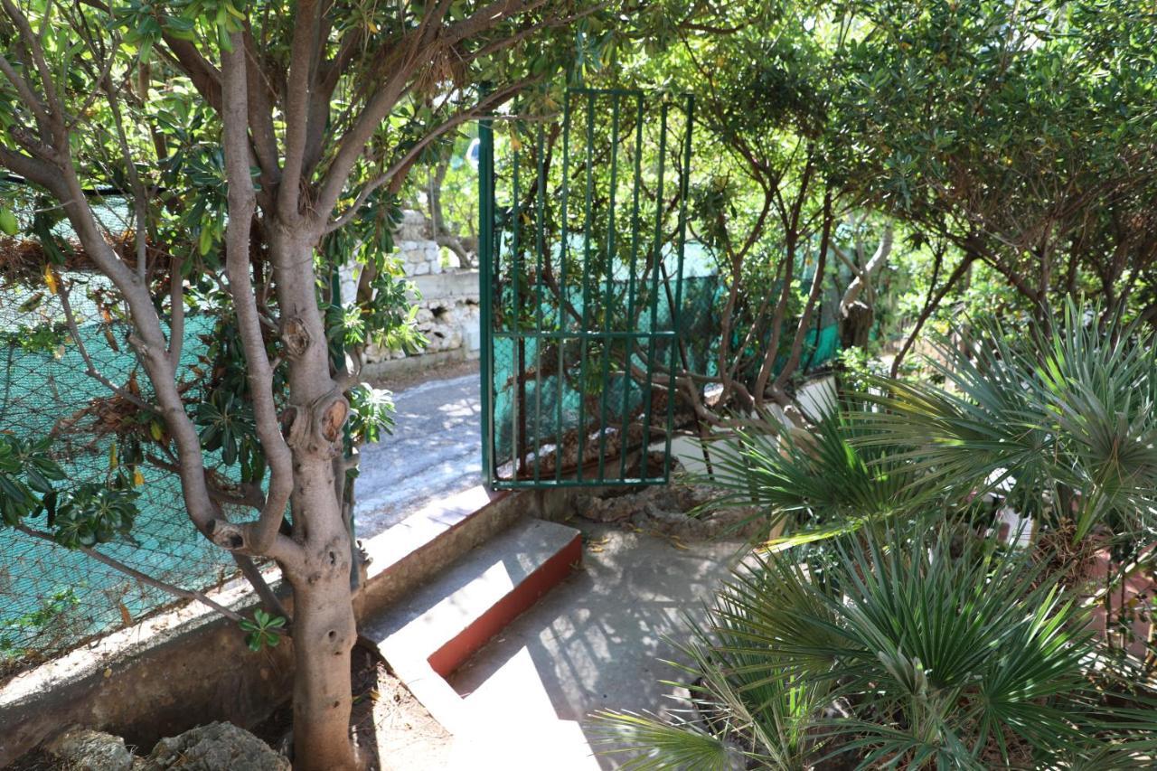 Villa Casa Elvira Terrasini Exterior foto