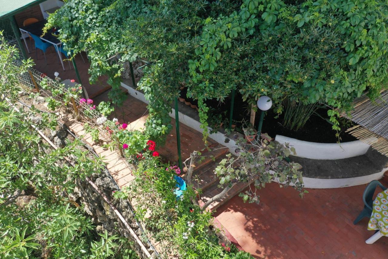 Villa Casa Elvira Terrasini Exterior foto