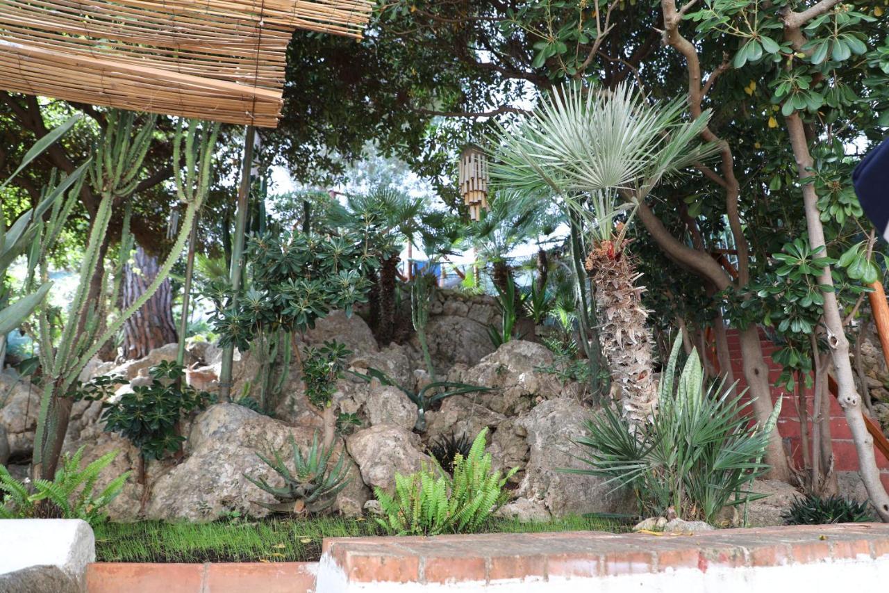Villa Casa Elvira Terrasini Exterior foto